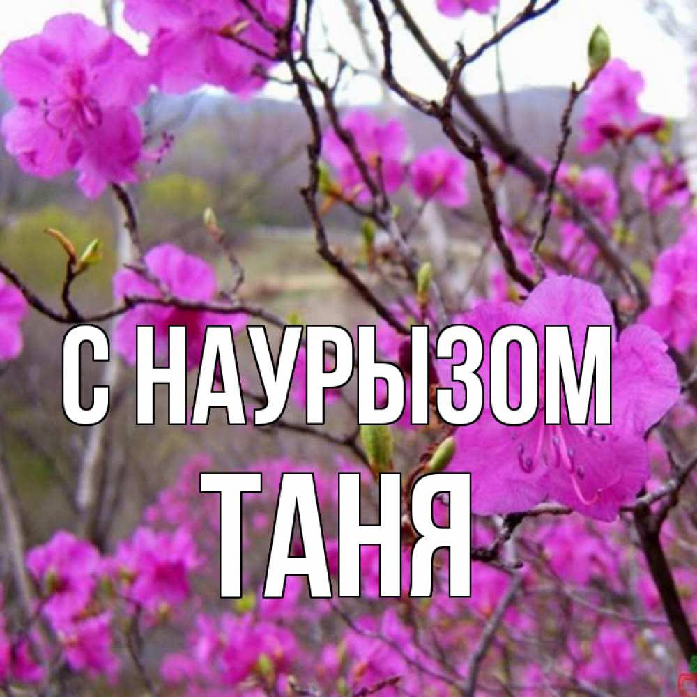 Картинка С наурызом, Таня