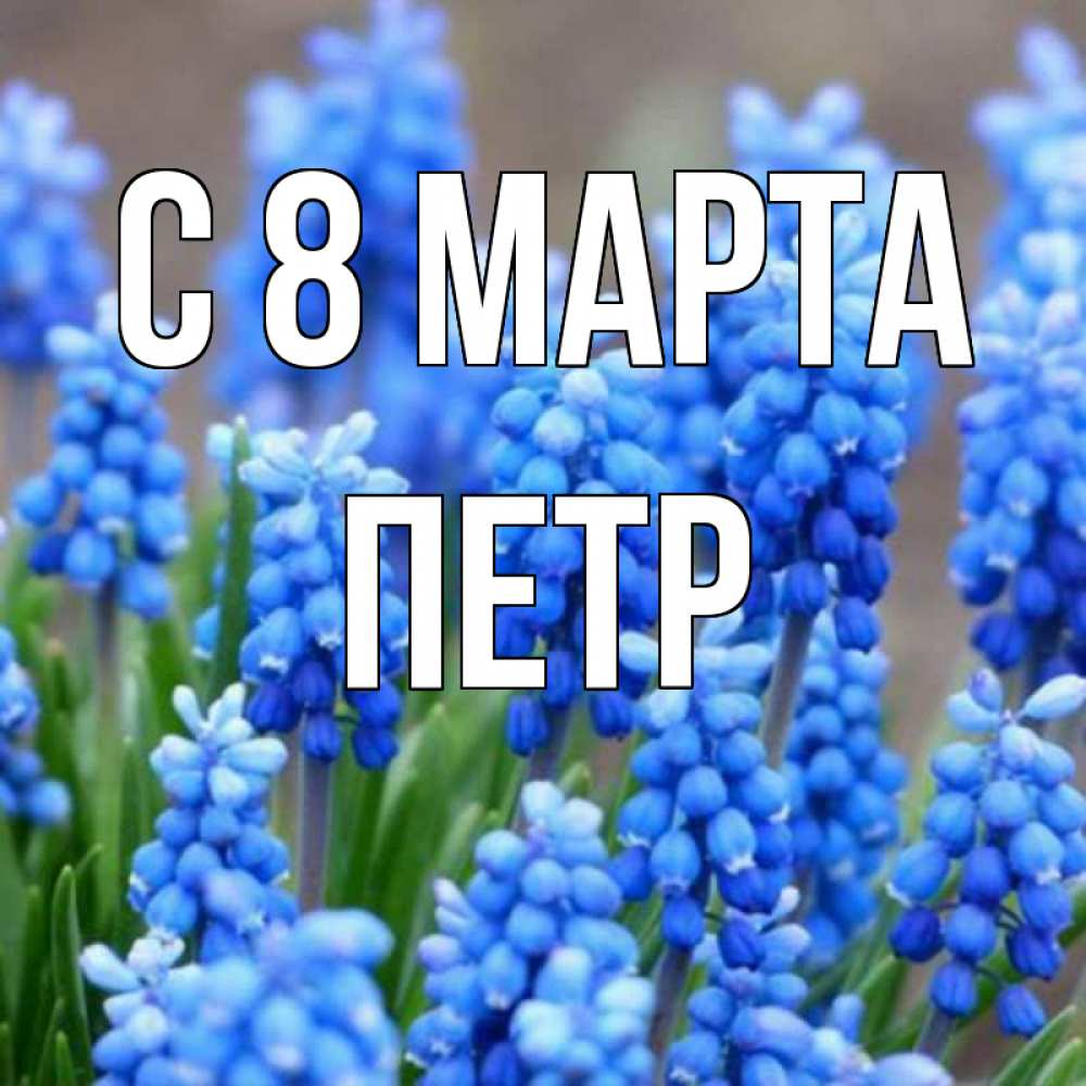 Открытка на каждый день с именем, Петр С 8 МАРТА Поздравительная открытка для женщин с цветами на праздничную дату Прикольная открытка с пожеланием онлайн скачать бесплатно 