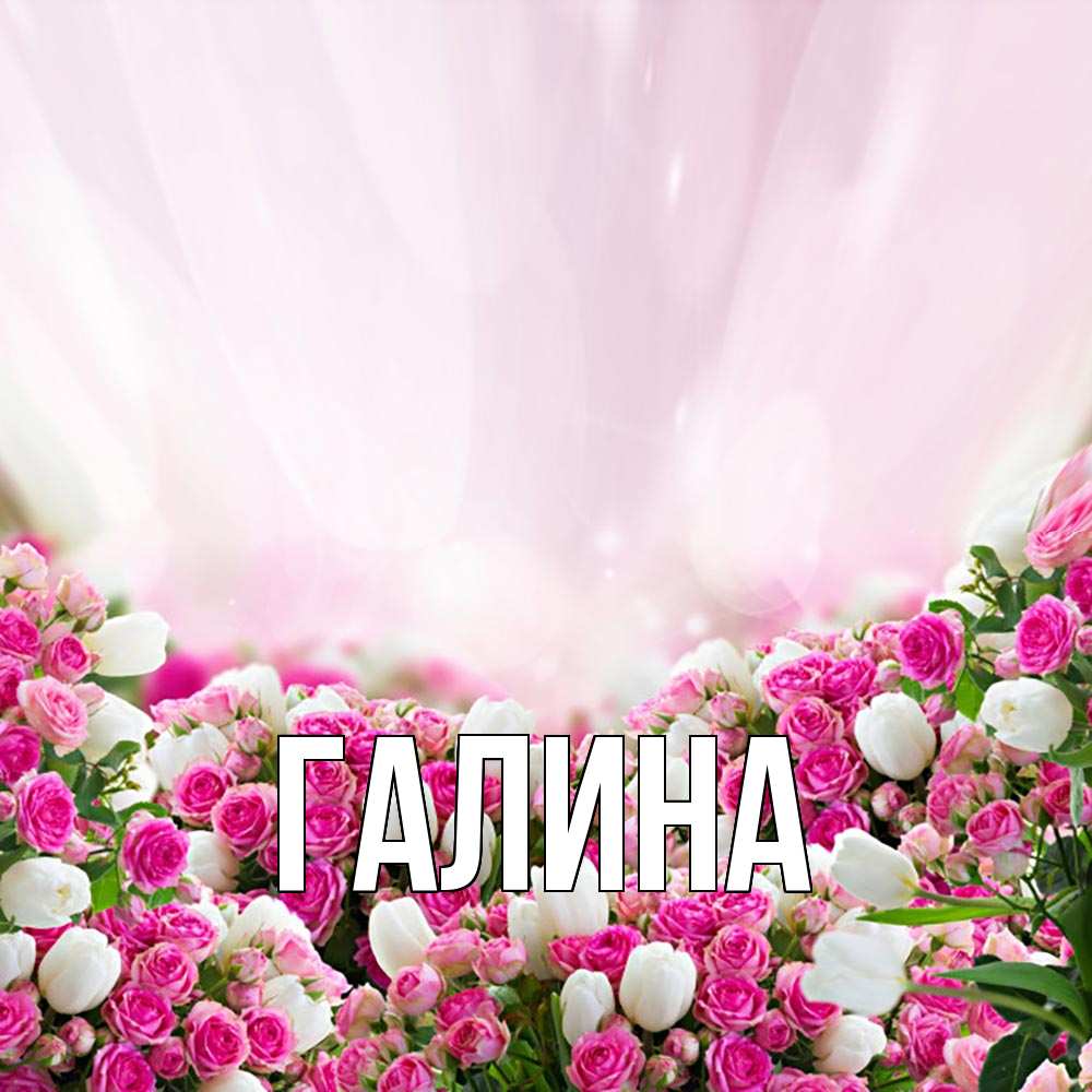 Открытка на каждый день с именем, Галина Главная под снегом Прикольная открытка с пожеланием онлайн скачать бесплатно 