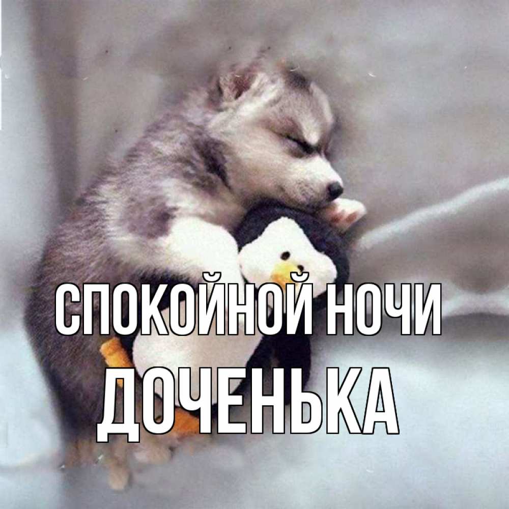 Открытка на каждый день с именем, ДОЧЕНЬКА Спокойной ночи обнимашки щенка и пингвина Прикольная открытка с пожеланием онлайн скачать бесплатно 