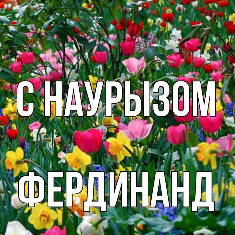 Открытка на каждый день с именем, Фердинанд С наурызом с наурызом праздником весны поздравления для женщины Прикольная открытка с пожеланием онлайн скачать бесплатно 