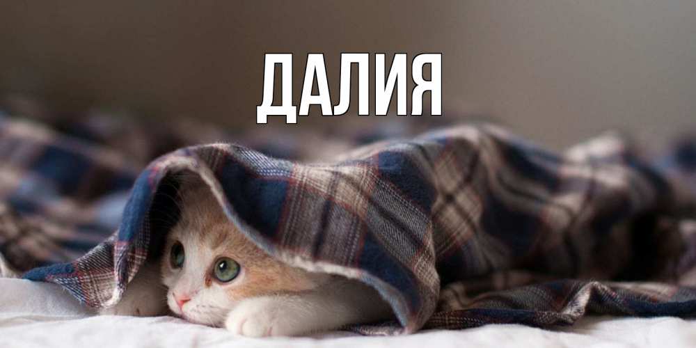 Картинка  с именем , Далия