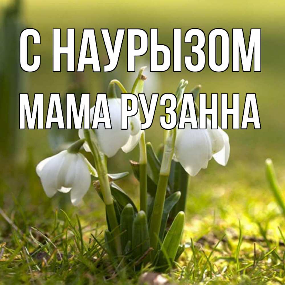 Открытка на каждый день с именем, Мама-Рузанна С наурызом ранние цветы 2 Прикольная открытка с пожеланием онлайн скачать бесплатно 