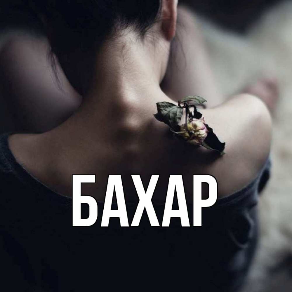 Открытка на каждый день с именем, Бахар Главная засох цветок Прикольная открытка с пожеланием онлайн скачать бесплатно 