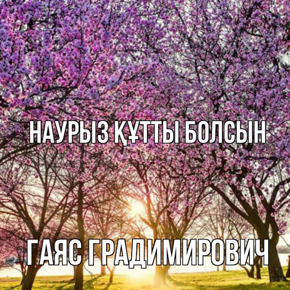 Картинка Наурыз құтты болсын, Гаяс Градимирович
