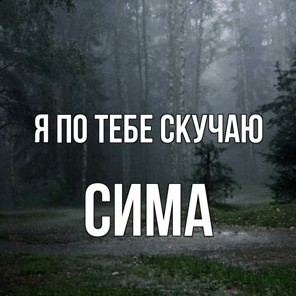 Открытка на каждый день с именем, Сима Я по тебе скучаю одна и плохо мне Прикольная открытка с пожеланием онлайн скачать бесплатно 
