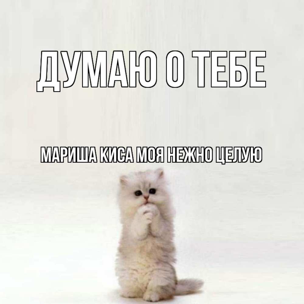 Моя киса картинки