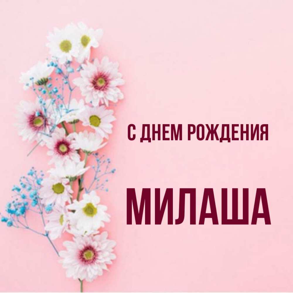 Милаша с днем рождения картинки