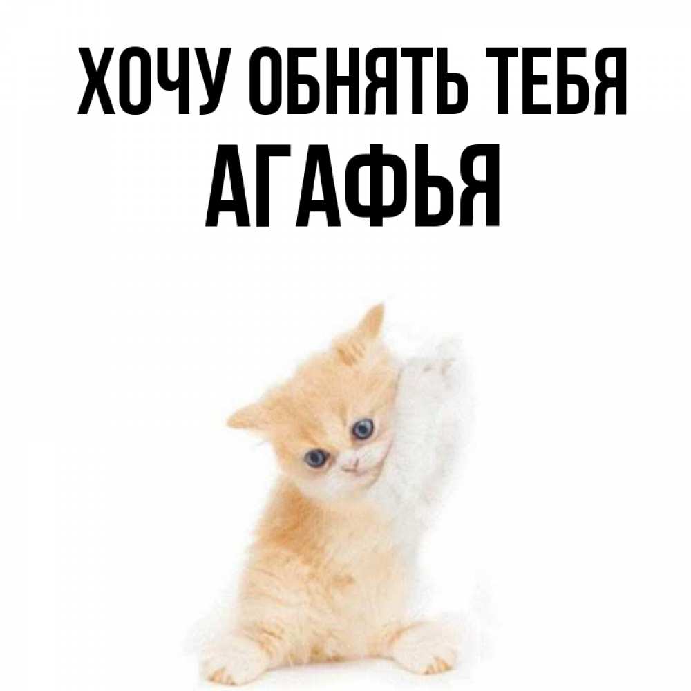 Открытка на каждый день с именем, Агафья Хочу обнять тебя я хочу очень скорее обнимаешек Прикольная открытка с пожеланием онлайн скачать бесплатно 