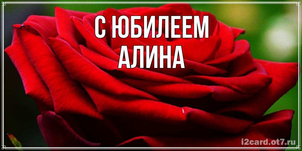 Открытка на каждый день с именем, Алина С юбилеем розочка очень красивая Прикольная открытка с пожеланием онлайн скачать бесплатно 