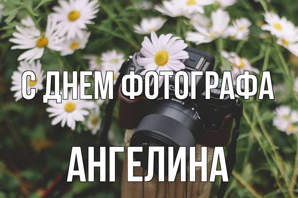 Открытка на каждый день с именем, Ангелина С днем фотографа с днем фотографа Прикольная открытка с пожеланием онлайн скачать бесплатно 