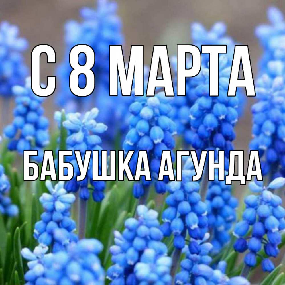 Открытка на каждый день с именем, Бабушка-Агунда С 8 МАРТА Поздравительная открытка для женщин с цветами на праздничную дату Прикольная открытка с пожеланием онлайн скачать бесплатно 