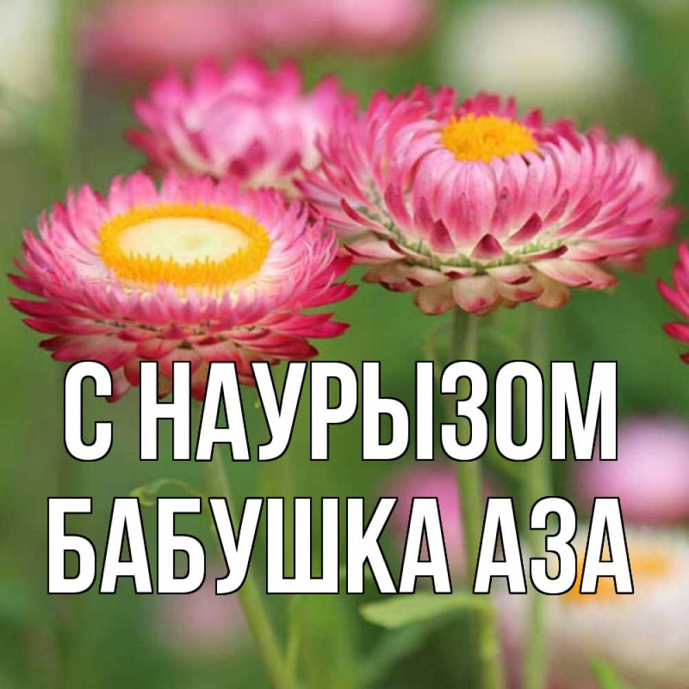Открытка на каждый день с именем, Бабушка-Аза С наурызом подарок на международный женский день Прикольная открытка с пожеланием онлайн скачать бесплатно 