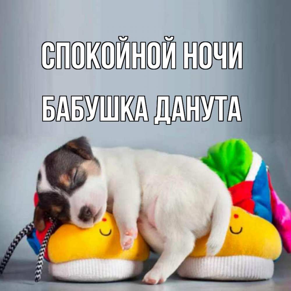 Открытка на каждый день с именем, Бабушка-Данута Спокойной ночи собачка Прикольная открытка с пожеланием онлайн скачать бесплатно 