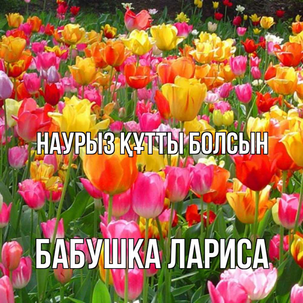 Открытка на каждый день с именем, Бабушка-Лариса Наурыз құтты болсын на наурыз  ура ура Прикольная открытка с пожеланием онлайн скачать бесплатно 