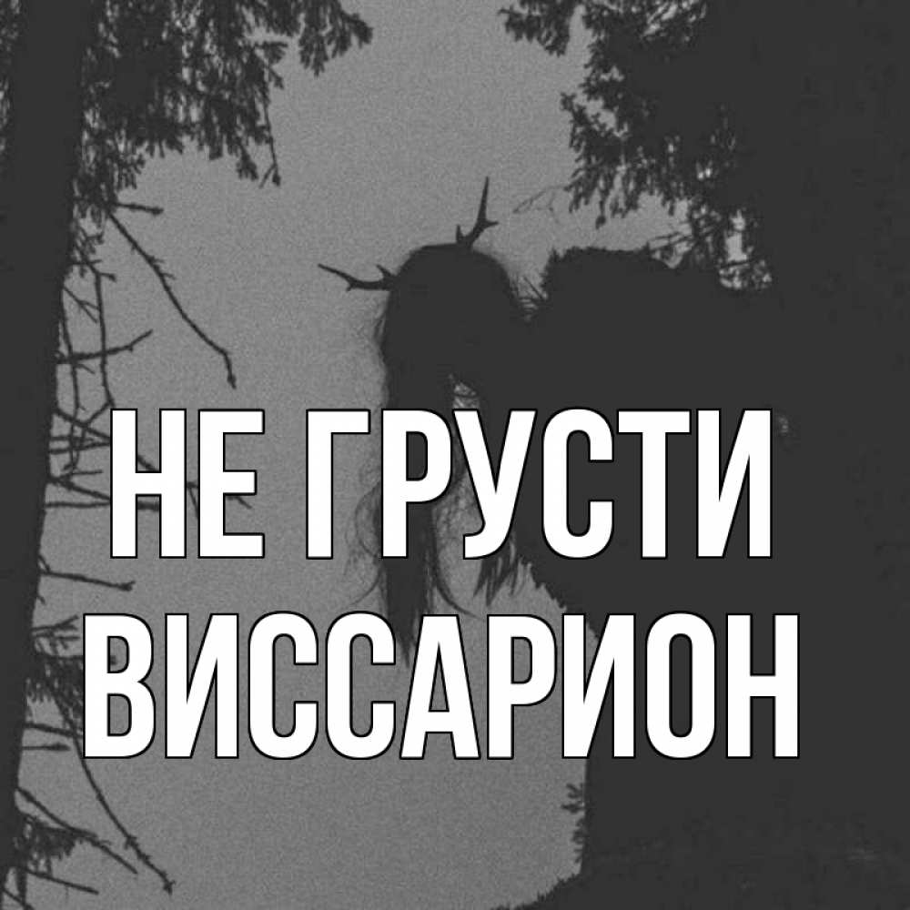 Открытка на каждый день с именем, Виссарион Не грусти чудище лесное Прикольная открытка с пожеланием онлайн скачать бесплатно 