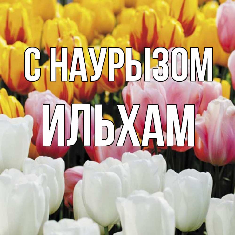 Открытка на каждый день с именем, Ильхам С наурызом разноцветные цветы Прикольная открытка с пожеланием онлайн скачать бесплатно 