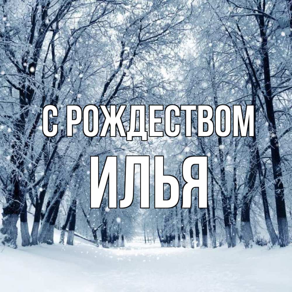 Открытка на каждый день с именем, Илья С рождеством снег, лес, парк Прикольная открытка с пожеланием онлайн скачать бесплатно 