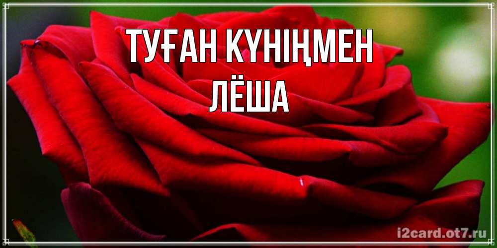 Открытка на каждый день с именем, Лёша Туған күніңмен розочка очень красивая Прикольная открытка с пожеланием онлайн скачать бесплатно 