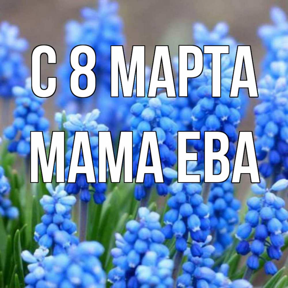 Открытка на каждый день с именем, Мама-Ева С 8 МАРТА Поздравительная открытка для женщин с цветами на праздничную дату Прикольная открытка с пожеланием онлайн скачать бесплатно 
