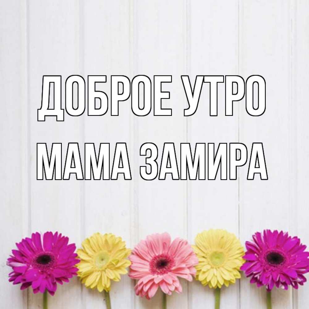 Открытка на каждый день с именем, Мама-Замира Доброе утро красный желтый и розовый цветок Прикольная открытка с пожеланием онлайн скачать бесплатно 