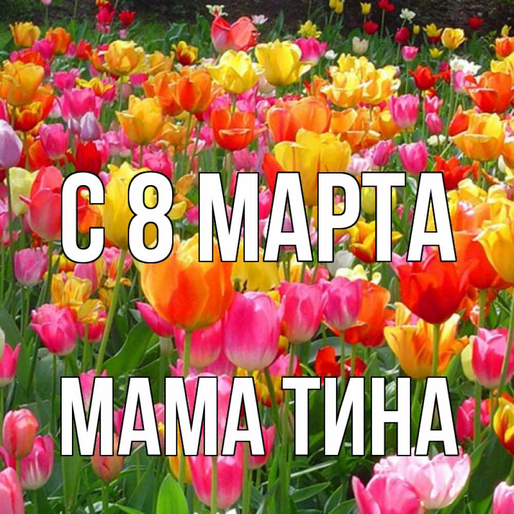 Открытка на каждый день с именем, Мама-Тина С 8 марта на международный женский день Прикольная открытка с пожеланием онлайн скачать бесплатно 