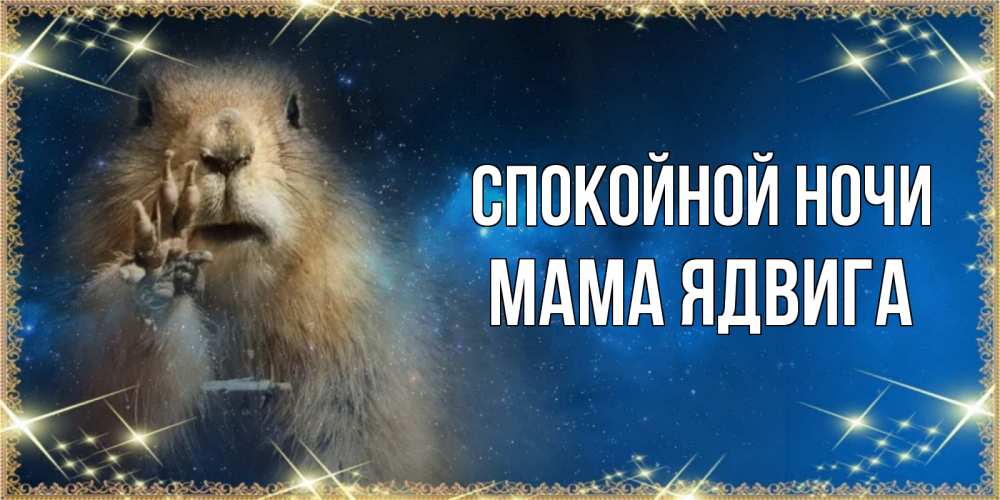 Открытка на каждый день с именем, Мама-Ядвига Спокойной ночи спокойной ночи сладких снов Прикольная открытка с пожеланием онлайн скачать бесплатно 