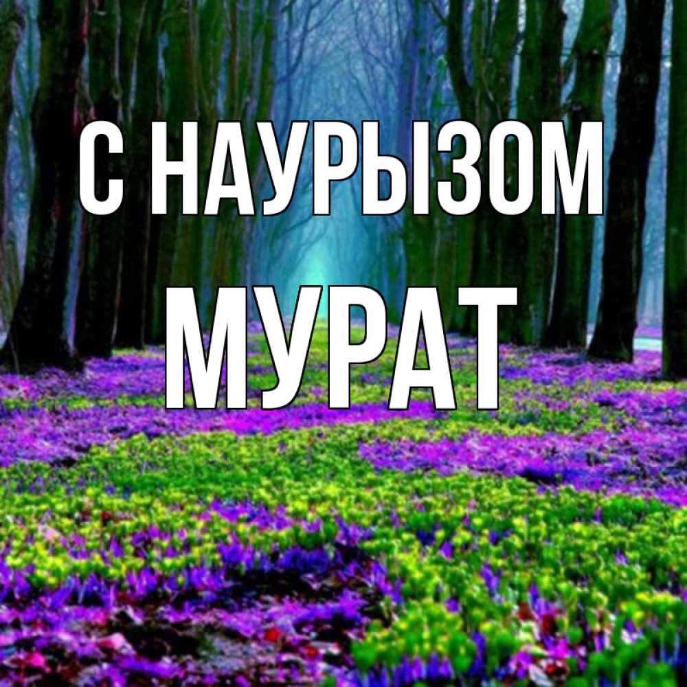 Открытка на каждый день с именем, Мурат С наурызом фиолетовые цветы в лесу 1 Прикольная открытка с пожеланием онлайн скачать бесплатно 