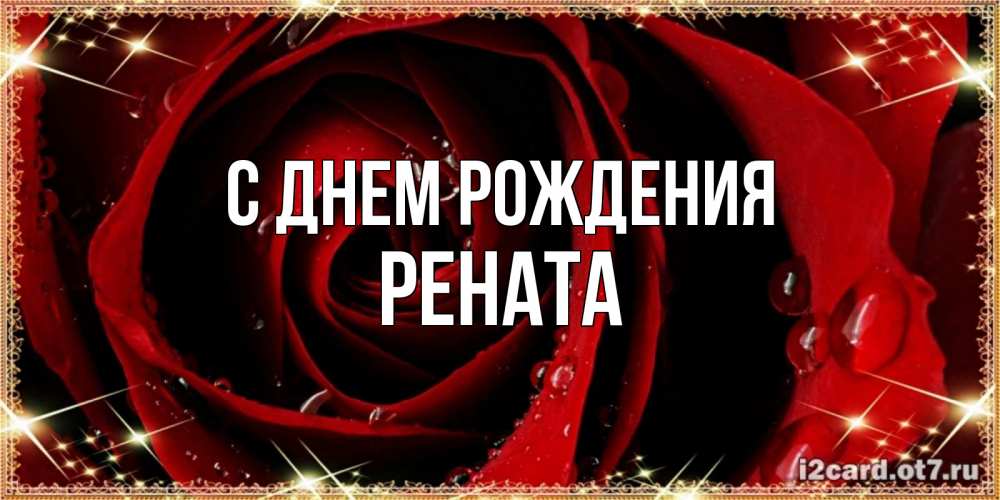 Открытка на каждый день с именем, Рената С днем рождения цветок в росе на день рождения Прикольная открытка с пожеланием онлайн скачать бесплатно 