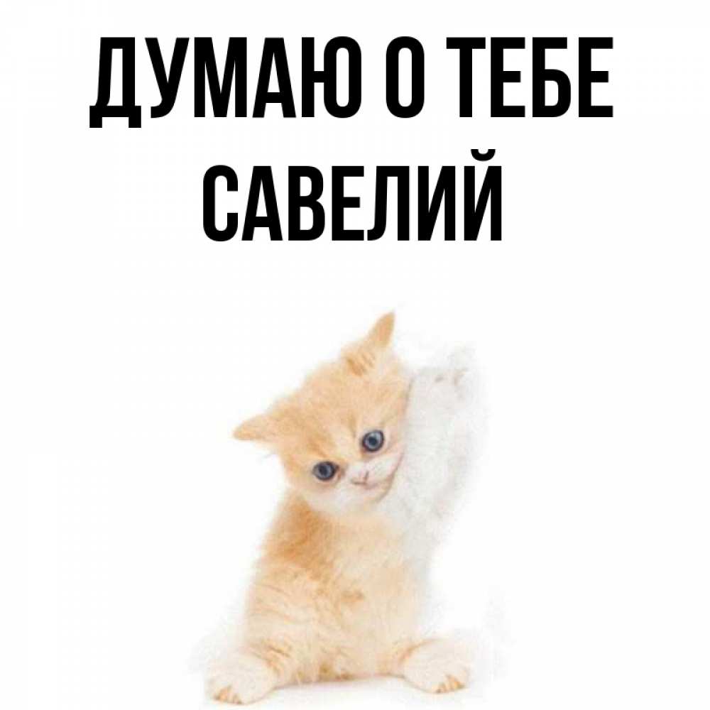 Открытка на каждый день с именем, Савелий Думаю о тебе зверушки и милота Прикольная открытка с пожеланием онлайн скачать бесплатно 