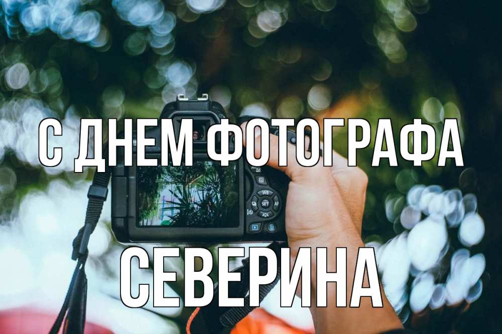 Открытка на каждый день с именем, Северина С днем фотографа с днем фотографа Прикольная открытка с пожеланием онлайн скачать бесплатно 