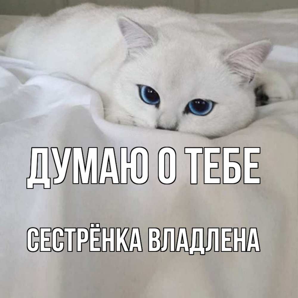 Открытка на каждый день с именем, Сестрёнка-Владлена Думаю о тебе я очень по тебе скучаю и тоскую Прикольная открытка с пожеланием онлайн скачать бесплатно 