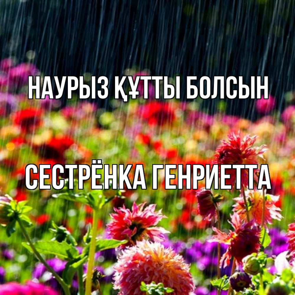 Открытка на каждый день с именем, Сестрёнка-Генриетта Наурыз құтты болсын цветы под дождиком к наурызу Прикольная открытка с пожеланием онлайн скачать бесплатно 