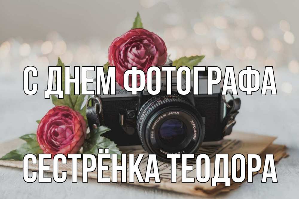 Открытка на каждый день с именем, Сестрёнка-Теодора С днем фотографа с днем фотографа Прикольная открытка с пожеланием онлайн скачать бесплатно 