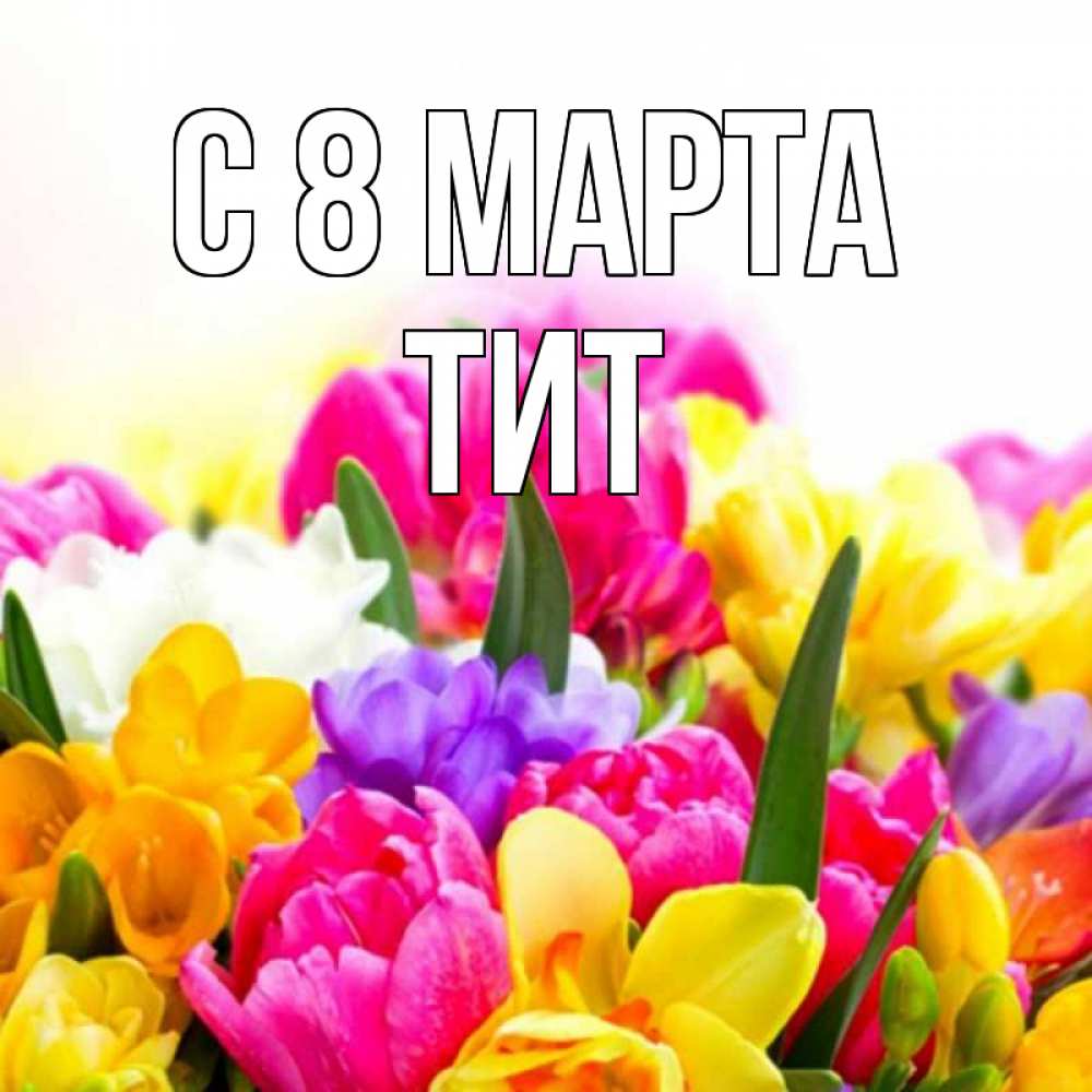 Открытка на каждый день с именем, Тит С 8 МАРТА тюльпаны Прикольная открытка с пожеланием онлайн скачать бесплатно 
