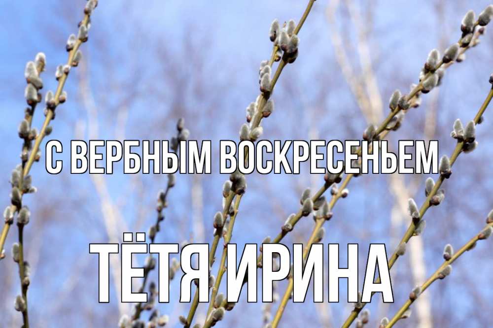 Открытка на каждый день с именем, Тётя-Ирина С вербным воскресеньем верба Прикольная открытка с пожеланием онлайн скачать бесплатно 