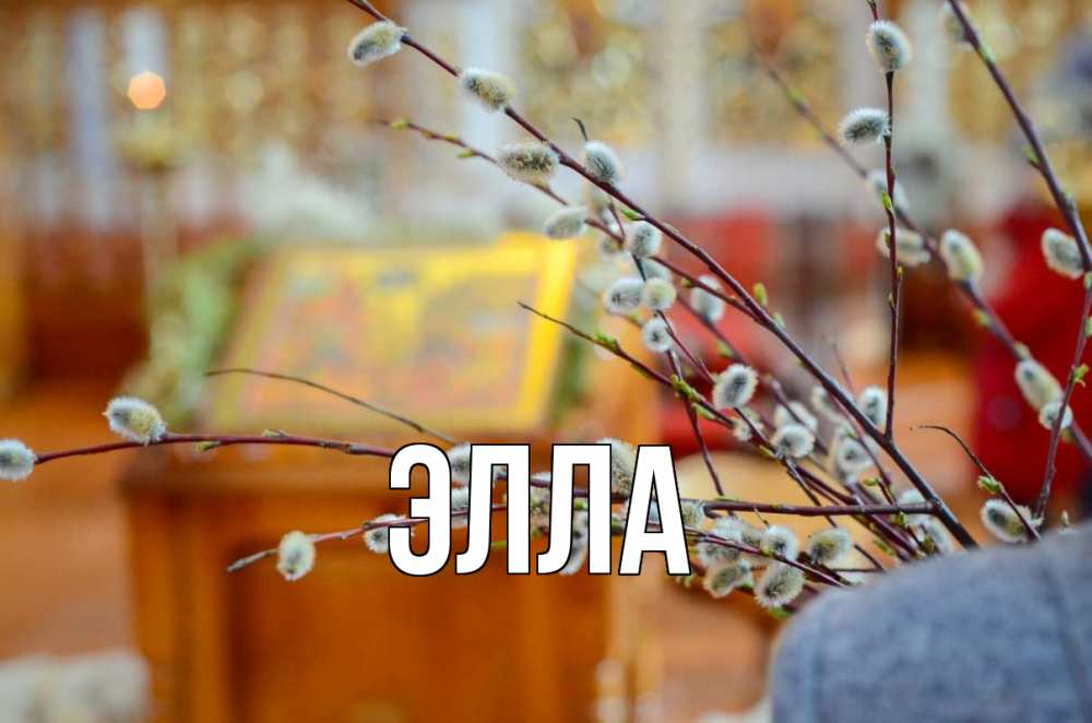 Открытка на каждый день с именем, Элла Главная верба Прикольная открытка с пожеланием онлайн скачать бесплатно 