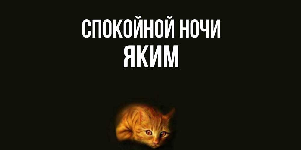 Открытка на каждый день с именем, Яким Спокойной ночи кот Прикольная открытка с пожеланием онлайн скачать бесплатно 