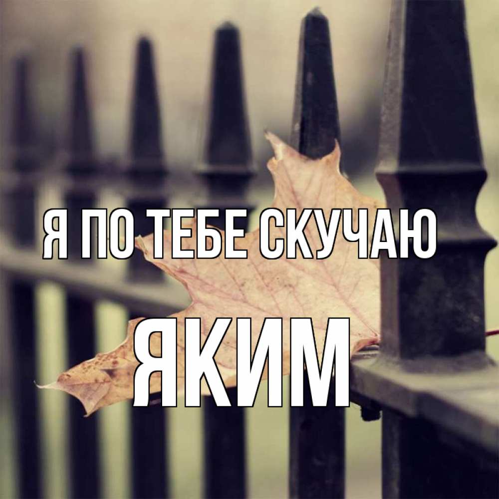 Открытка на каждый день с именем, Яким Я по тебе скучаю очень скучно Прикольная открытка с пожеланием онлайн скачать бесплатно 