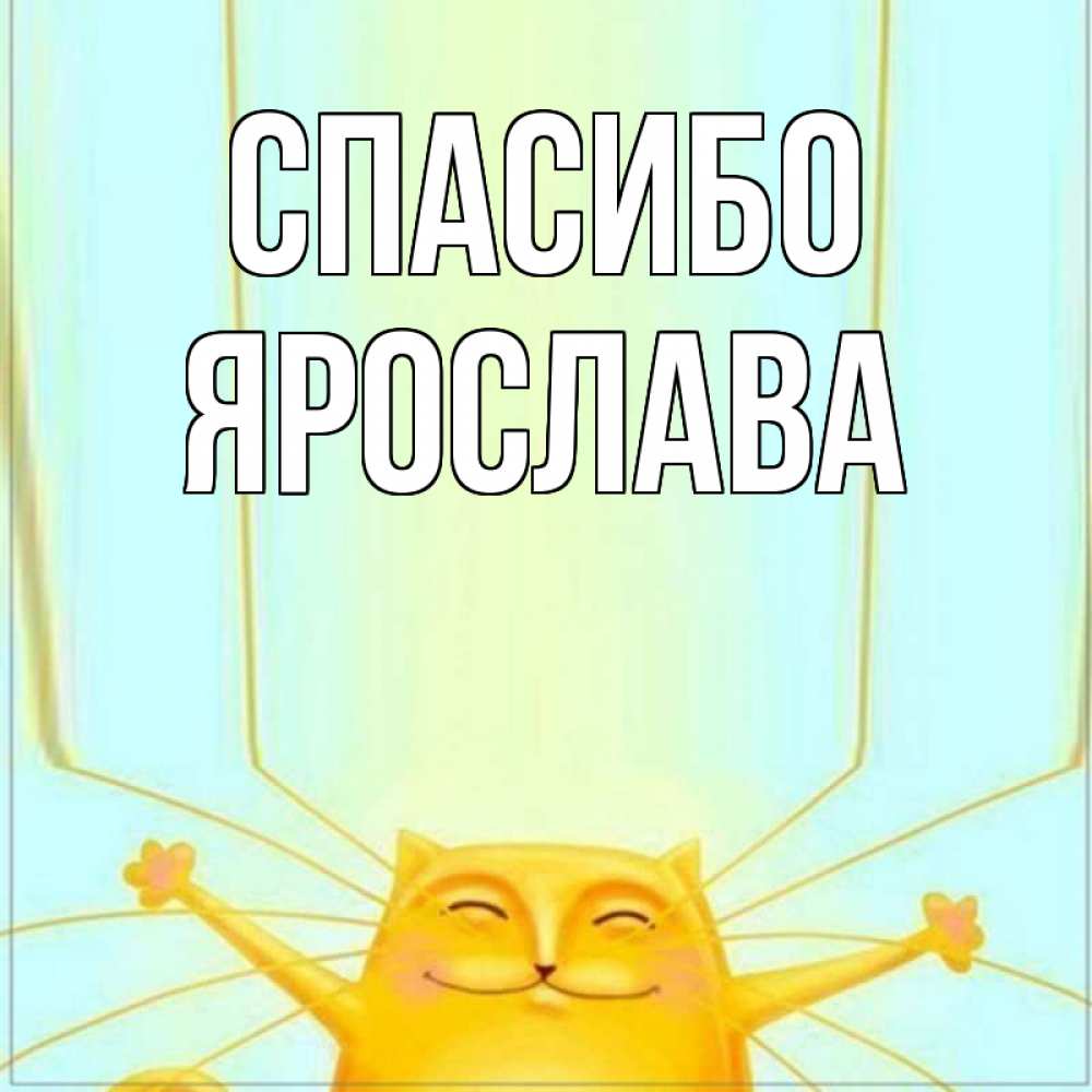 Открытка на каждый день с именем, Ярослава Спасибо кот с усами благодарит Прикольная открытка с пожеланием онлайн скачать бесплатно 