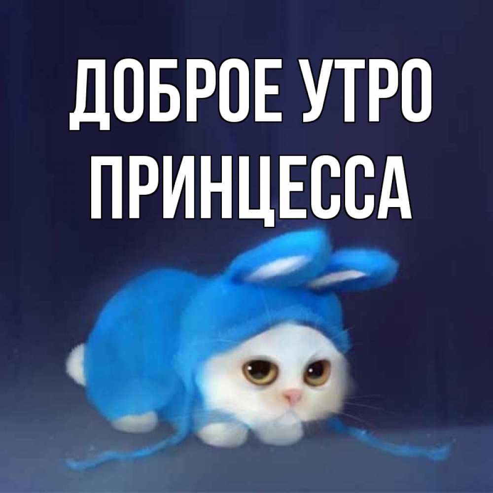 Открытка на каждый день с именем, принцесса Доброе утро открытки красивые скачать бесплатно Прикольная открытка с пожеланием онлайн скачать бесплатно 