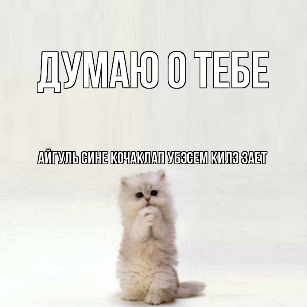 Картинки смешная а я думаю о тебе