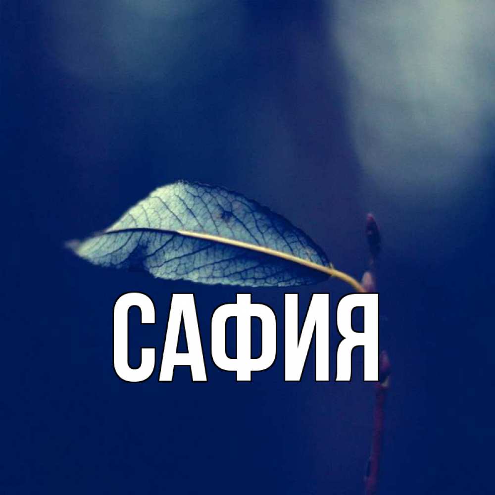 Читать сафия. Читать сафия