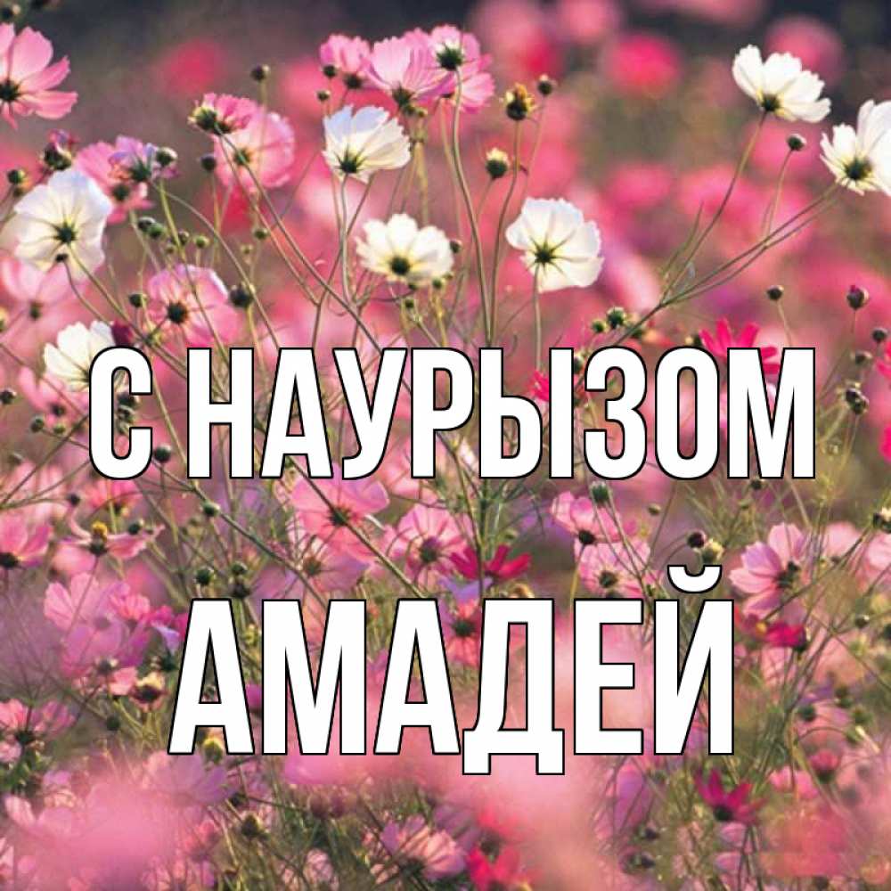 Открытка на каждый день с именем, Амадей С наурызом красиво 1 Прикольная открытка с пожеланием онлайн скачать бесплатно 