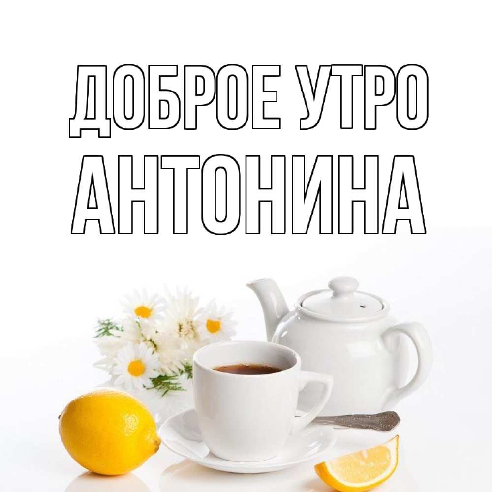 Открытка на каждый день с именем, Антонина Доброе утро сиреневые цветы Прикольная открытка с пожеланием онлайн скачать бесплатно 