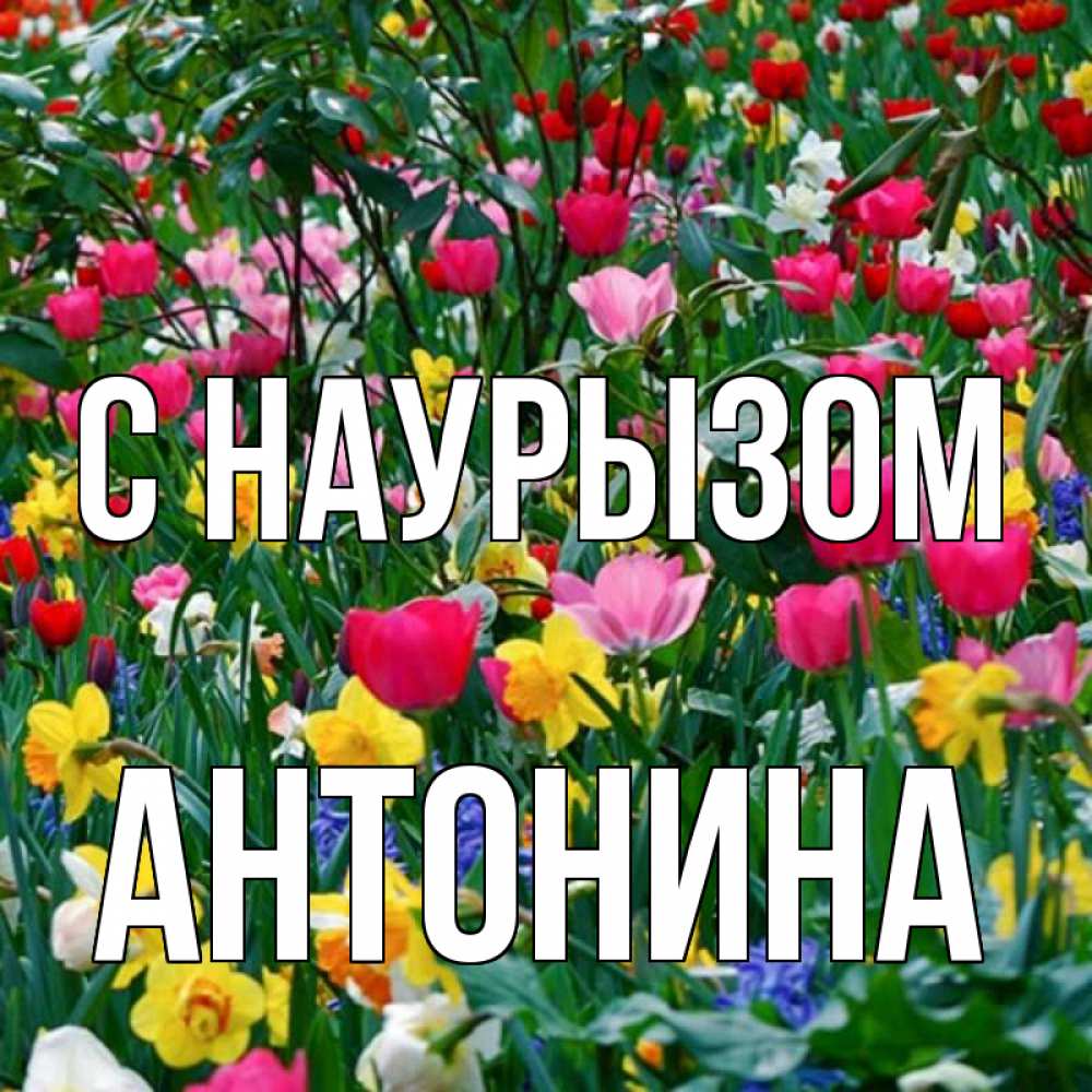 Открытка на каждый день с именем, Антонина С наурызом с наурызом праздником весны поздравления для женщины Прикольная открытка с пожеланием онлайн скачать бесплатно 