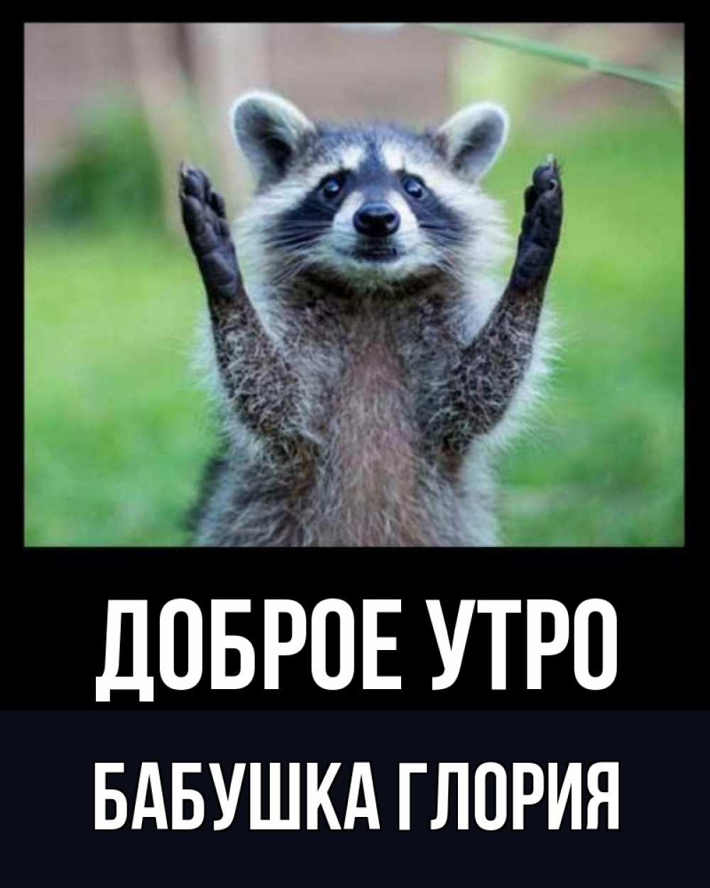 Открытка на каждый день с именем, Бабушка-Глория Доброе утро хорошее настроение утречком Прикольная открытка с пожеланием онлайн скачать бесплатно 