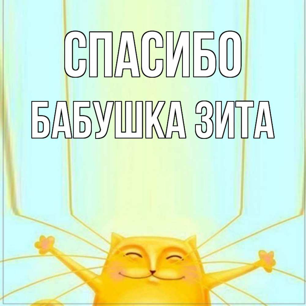 Открытка на каждый день с именем, Бабушка-Зита Спасибо кот с усами благодарит Прикольная открытка с пожеланием онлайн скачать бесплатно 
