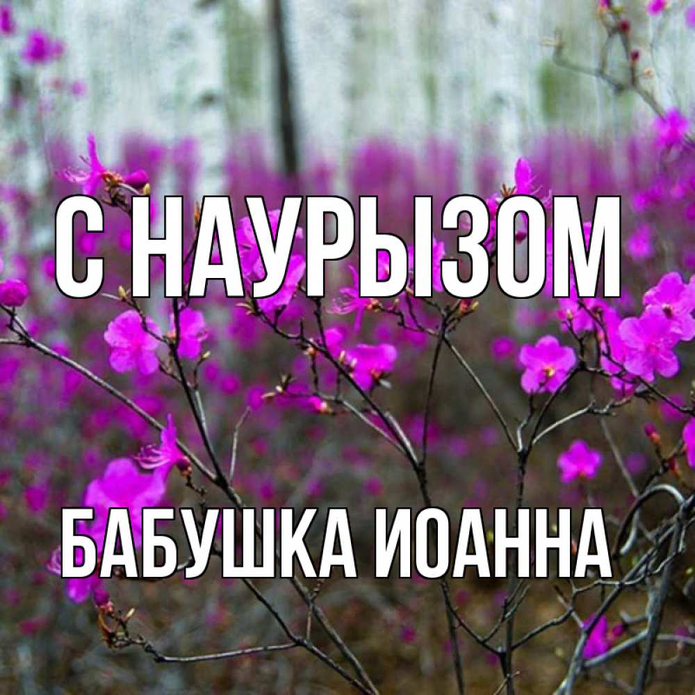 Открытка на каждый день с именем, Бабушка-Иоанна С наурызом дикие цветы Прикольная открытка с пожеланием онлайн скачать бесплатно 