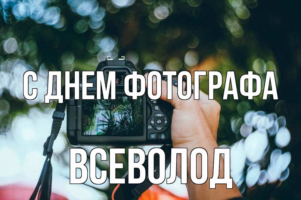 Открытка на каждый день с именем, Всеволод С днем фотографа с днем фотографа Прикольная открытка с пожеланием онлайн скачать бесплатно 